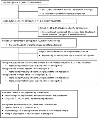 Invasive non-typhoidal Salmonella from stool samples of healthy human carriers are genetically similar to blood culture isolates: a report from the Democratic Republic of the Congo